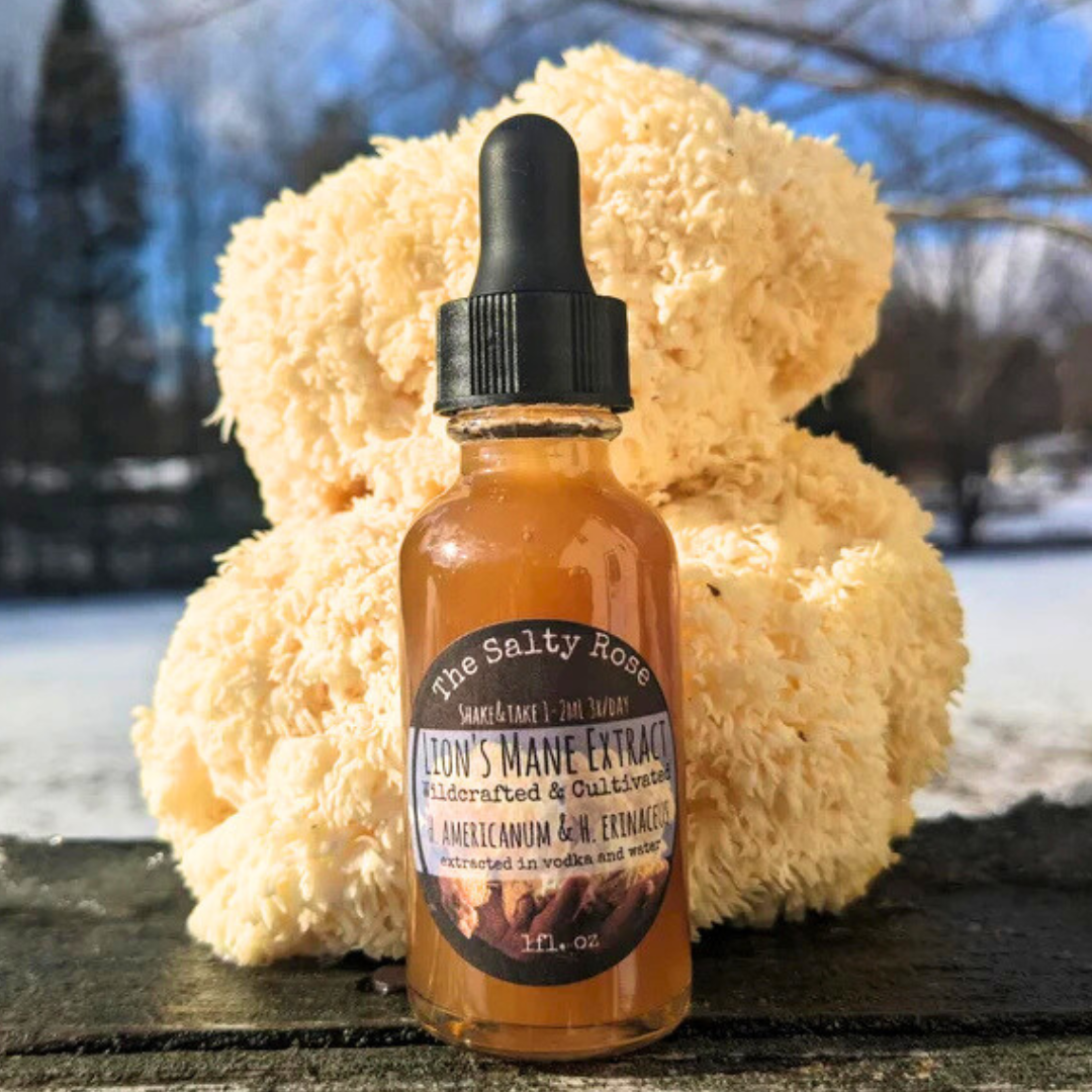 Lion's Mane Mushroom Tincture