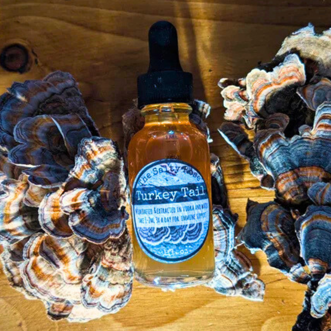 Turkey Tail Mushroom Tincture